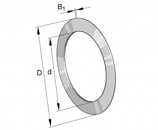 INA AS 0619 tenký axiální ložiskový kroužek - N2