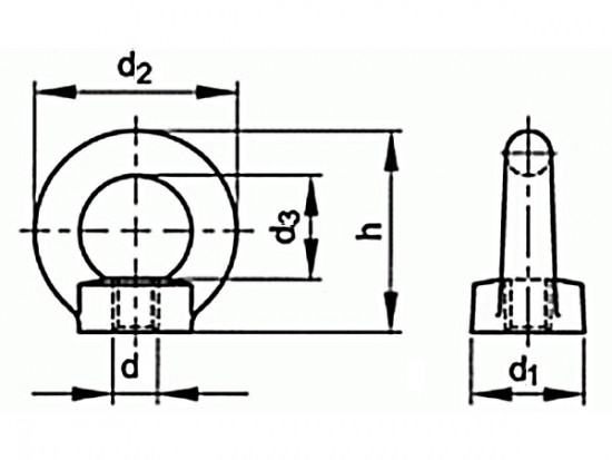 Matice závěsná DIN 582 M10 C15 CE - N2
