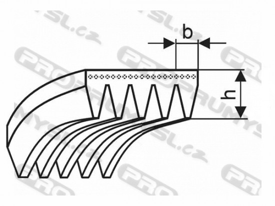 2 Pièces 5PJ 584, V - Ribbon Profile 5 PJ 584 / 230j, Standard - 14