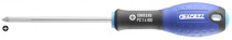 Šroubovák Pozidriv Pz1 x 100 mm, EPERT E165335 - N1