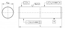 INA W 10x1000 mm H6-CF53 vodící tyč - N1