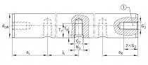 INA W 20x1000 mm H6-X46 nerezová vodící tyč - N1
